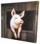 Smiling Pig, Fine Art Gallery Wrapped Canvas, 24"x24"x1.5''
