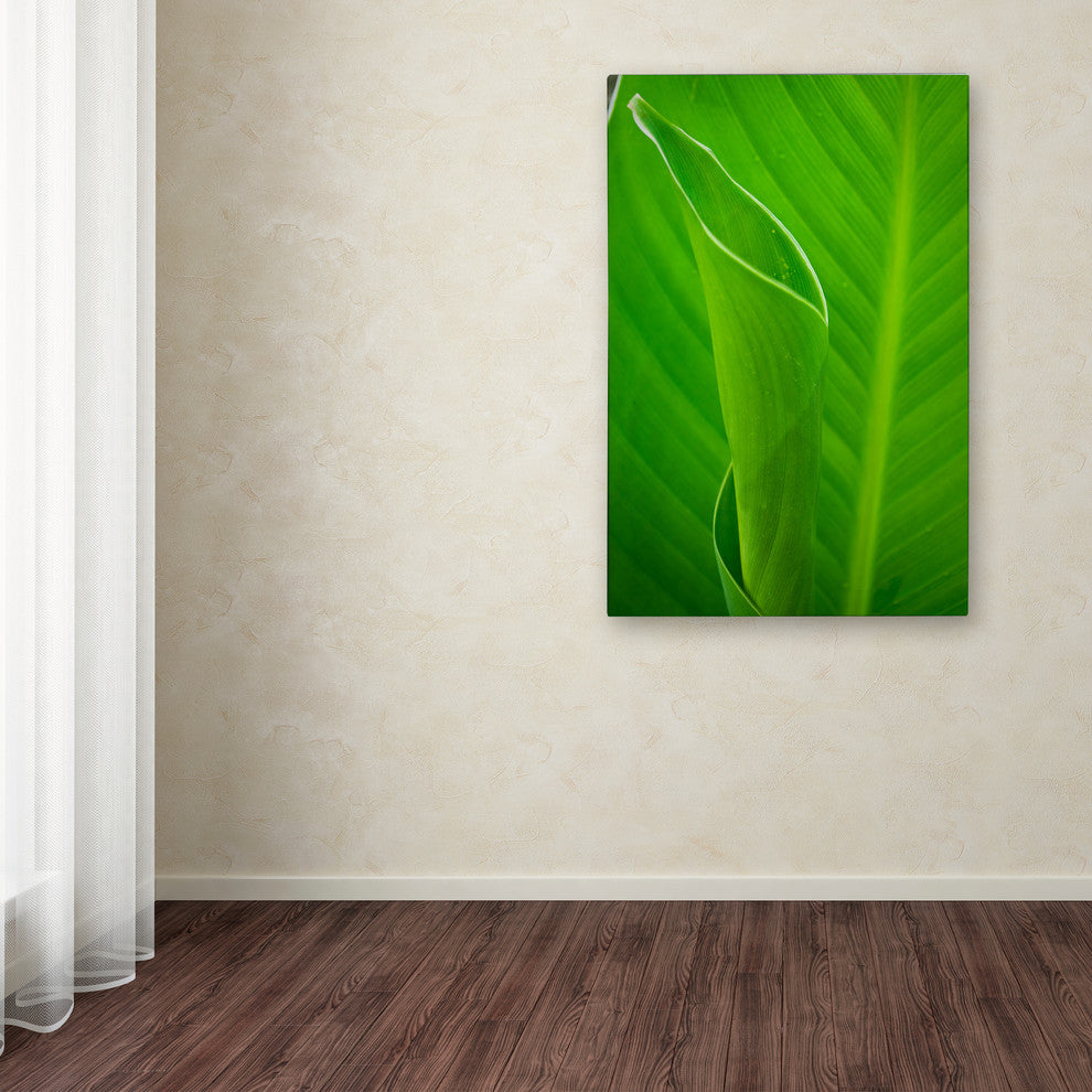 PIPA Fine Art 'Leaves Canna Lily' Canvas Art, 32x22