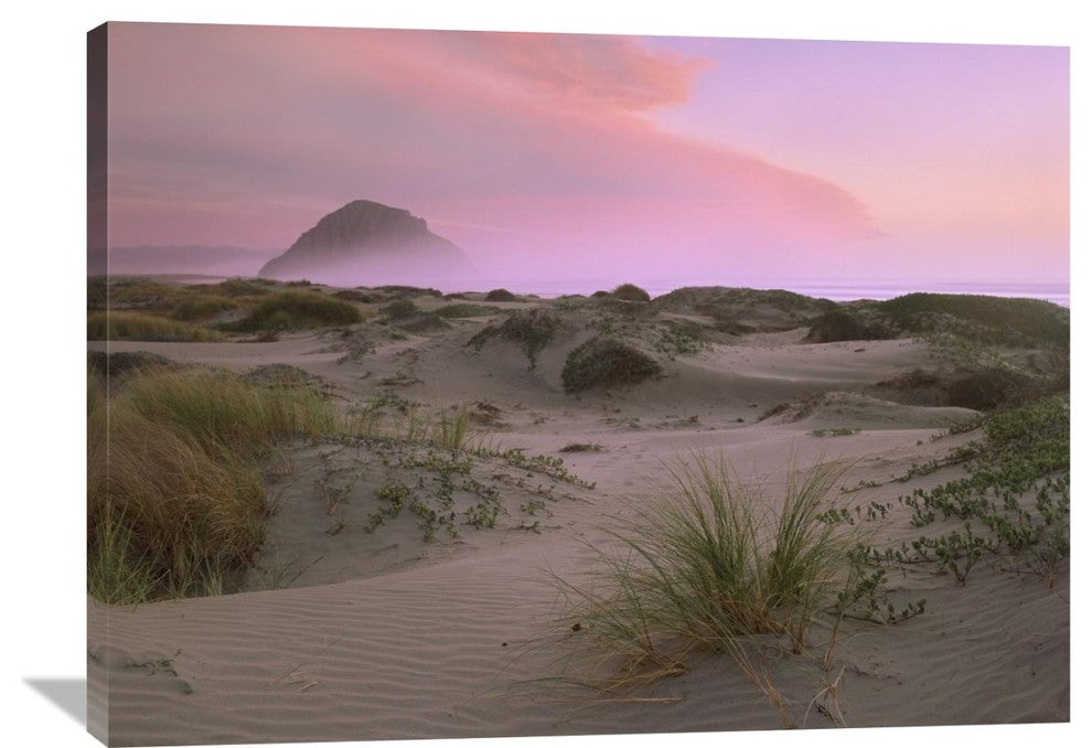 "Morro Rock At Morro Bay, California" Artwork, 40" x 30"