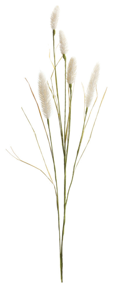 Foxtail Spray, Set of 6