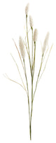 Foxtail Spray, Set of 6