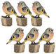 Bird on Stump, 6-Piece Set