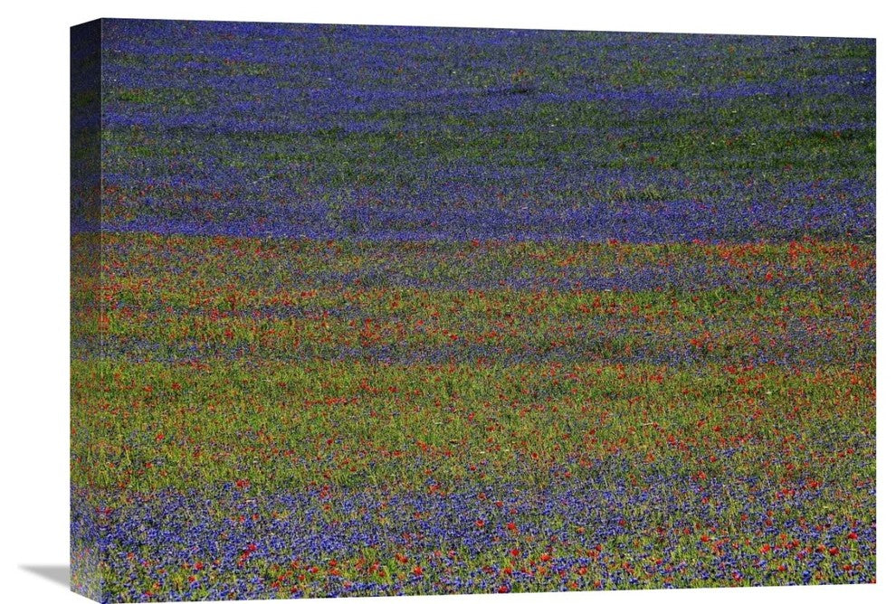 "Get Lost" Stretched Canvas Giclee by Russo Francesco, 22x16"