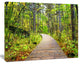Wooden Boardwalk across Forest, Landscape Canvas Art Print, 20"x12"