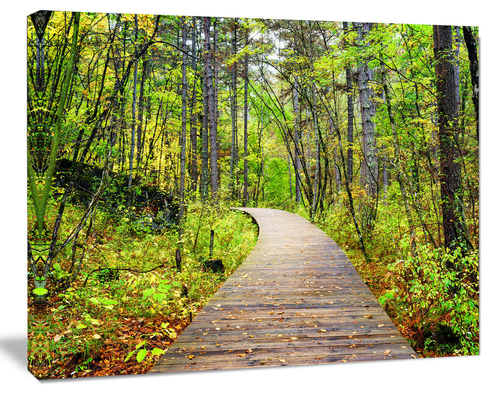 Wooden Boardwalk across Forest, Landscape Canvas Art Print, 20"x12"