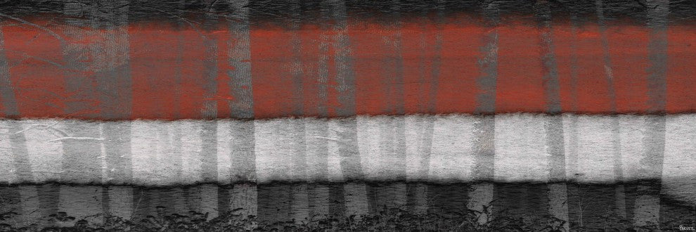 "Broad Spectrum" Painting Print on Wrapped Canvas, 30"x10"