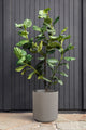 Veradek Demi Series Planter, Gray, 20", 1 Pack