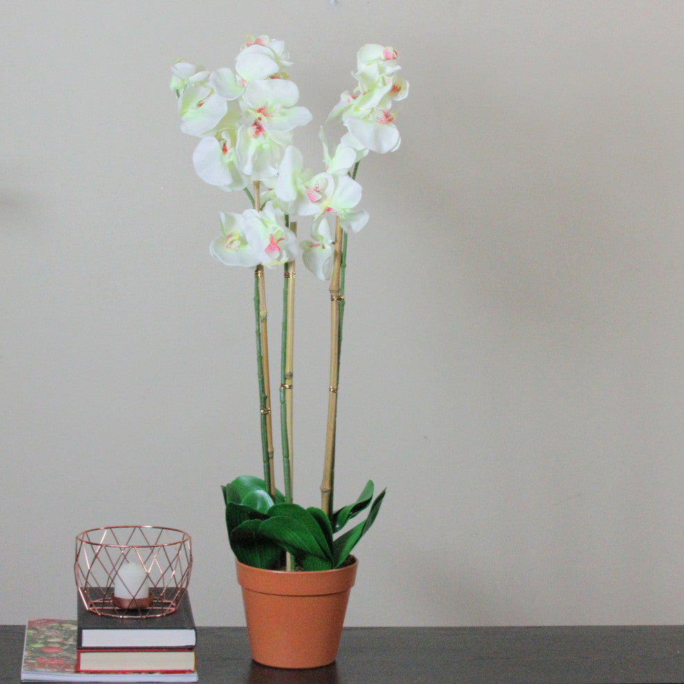 33.25" White Artificial Three Stemmed Potted Flowering Orchid Plant