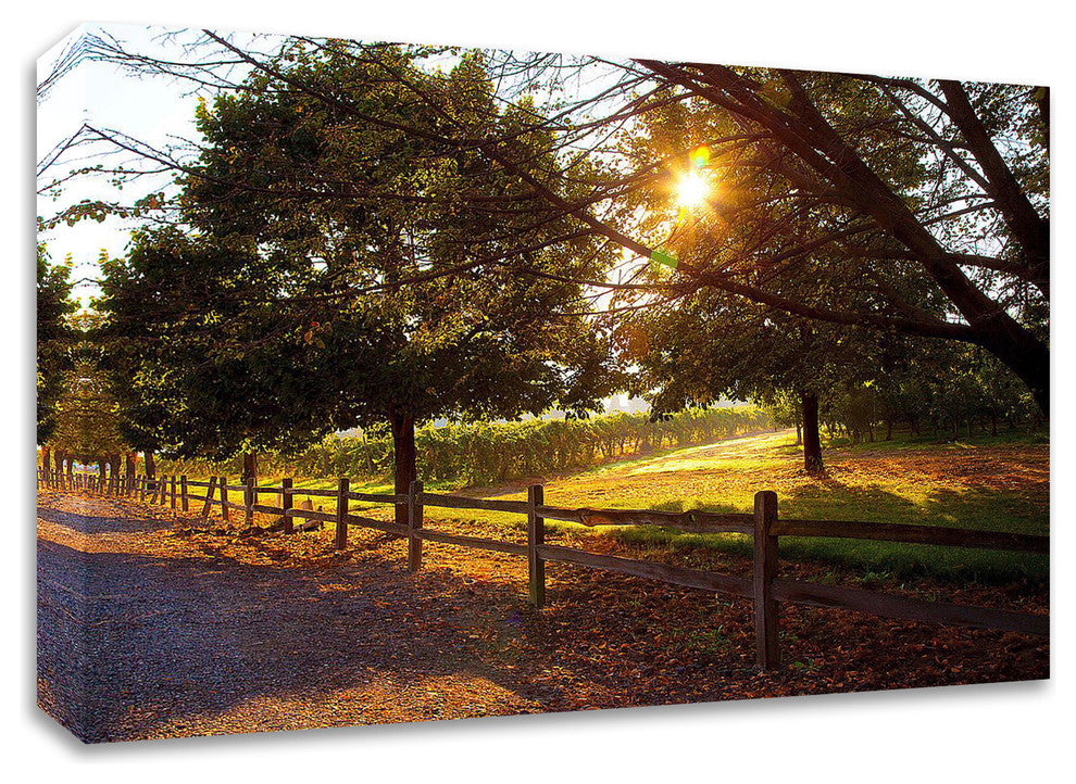 Dreamland Vineyard by Michael Broom, Print on Canvas, Ready to Hang