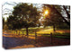 Dreamland Vineyard by Michael Broom, Print on Canvas, Ready to Hang