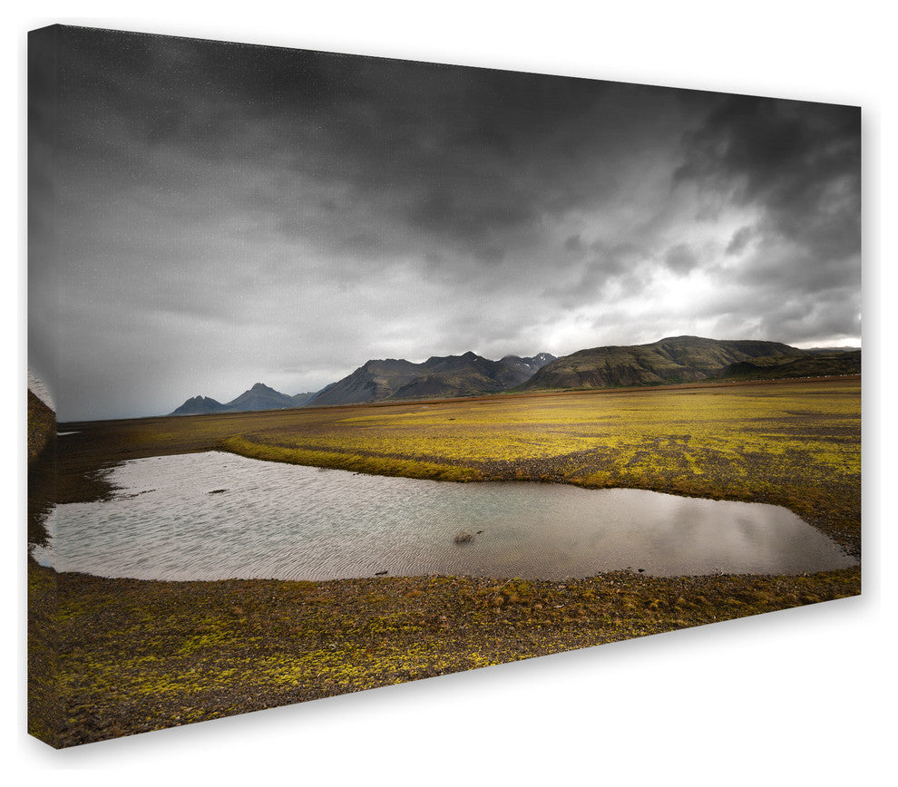 Philippe Sainte-Laudy 'Vibes and Gravy' Canvas Art