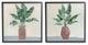 Green Palm Frond Plants Brown Jars Still Life,12 x 12