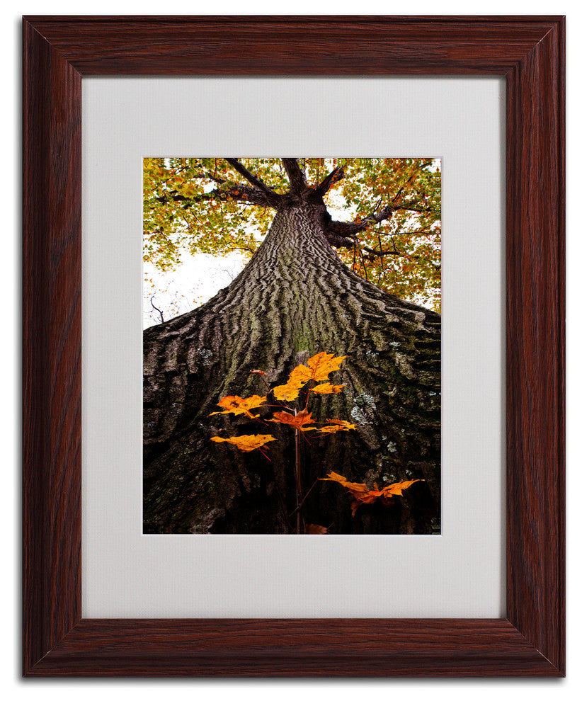 'Mighty Maple and Sapling' Matted Framed Canvas Art by Kurt Shaffer