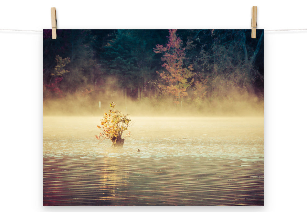 Golden Mist on Waples Pond Landscape Photo Unframed Wall Art Print, 16" X 20"