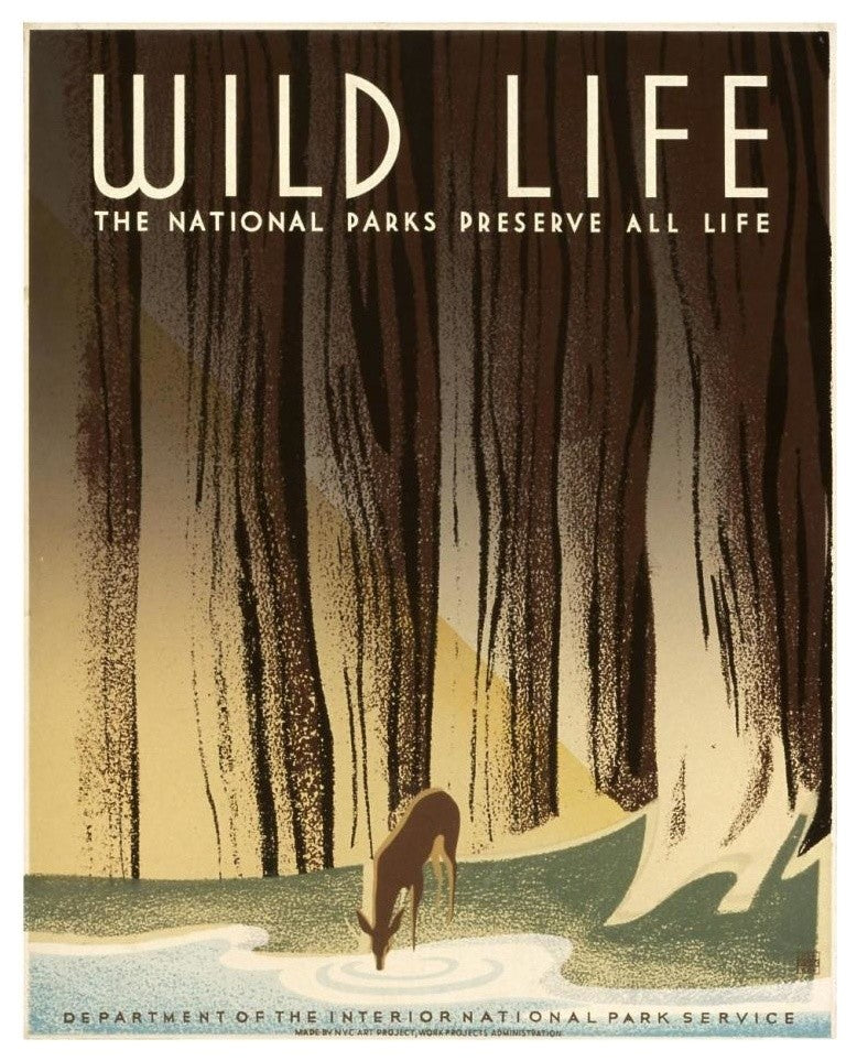 "Wild Life; The National Parks Preserve All Life, 1936-1940" Paper Art, 22"x26"
