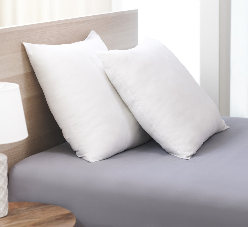 Modern Loft Soft Touch Euro Pillow, 2-Pack
