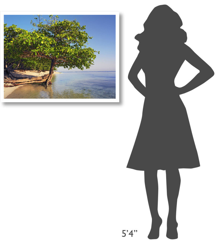 "Roatan Island, Honduras" Digital Paper Print by Tim Fitzharris, 34"x26"