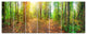 Dense Forest Panorama, Landscape Canvas Art Print, 83"x32", 7 Panels