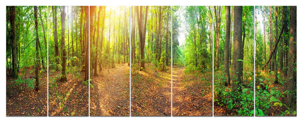 Dense Forest Panorama, Landscape Canvas Art Print, 83"x32", 7 Panels