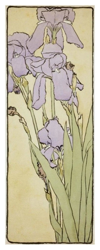 "Iris" Digital Paper Print by Hannah Borger Overbeck, 16"x38"