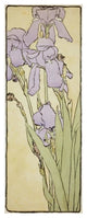 "Iris" Digital Paper Print by Hannah Borger Overbeck, 16"x38"
