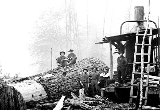 Lumber Break - Gallery Wrapped Canvas Art 28" x 42"