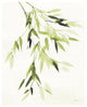 "Bamboo Leaves IV Green" Digital Paper Print by Danhui Nai, 18"x22"