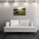 Ready2hangart Christopher Doherty Photography 'Turtle' Canvas Wall Art