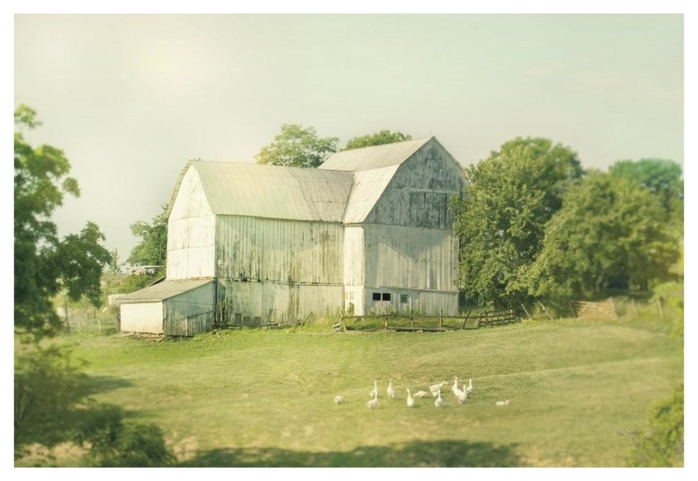 "Farm Morning III" Digital Paper Print by Sue Schlabach, 32"x22"