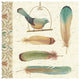 "Feather Tales I" Digital Paper Print by Daphne Brissonnet, 32"x32"