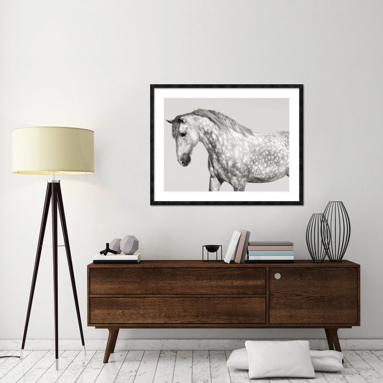 "Leia, Andalusian Pony" Framed Digital Print by Pangea Images, 48x38"