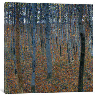 "Buchenwald 1, Beech Grove 1" Wrapped Canvas Print, 12x12x1.5