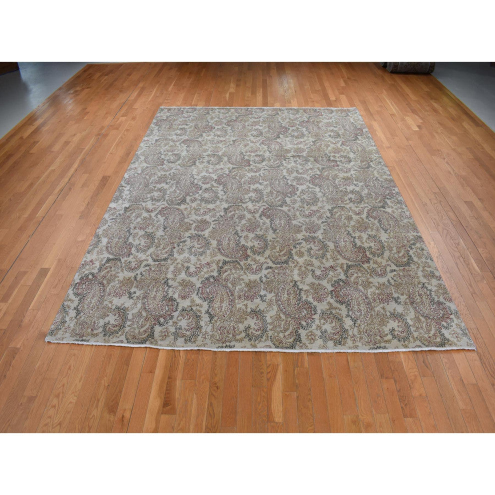 Agreeable Gray Agra with Paisley Design 100% Wool Hand Knotted Rug 9'1" x 12'3"