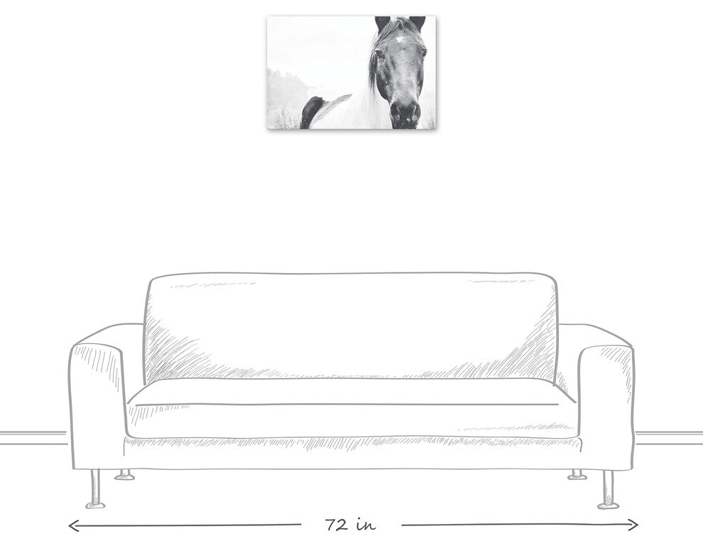 Black and White Lone Horse 16x24 Canvas Wall Art