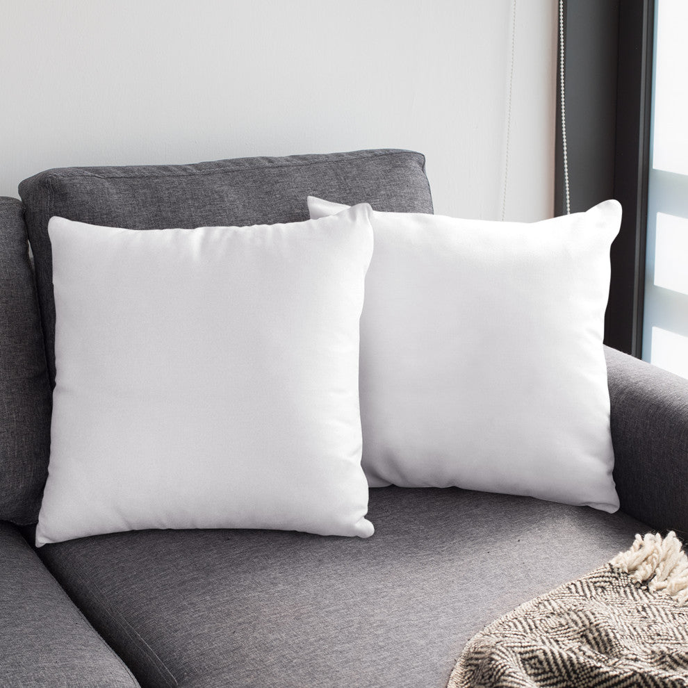 A1HC Throw Pillow Insert, Down Feather Filled, Set of 2, 22"x22"