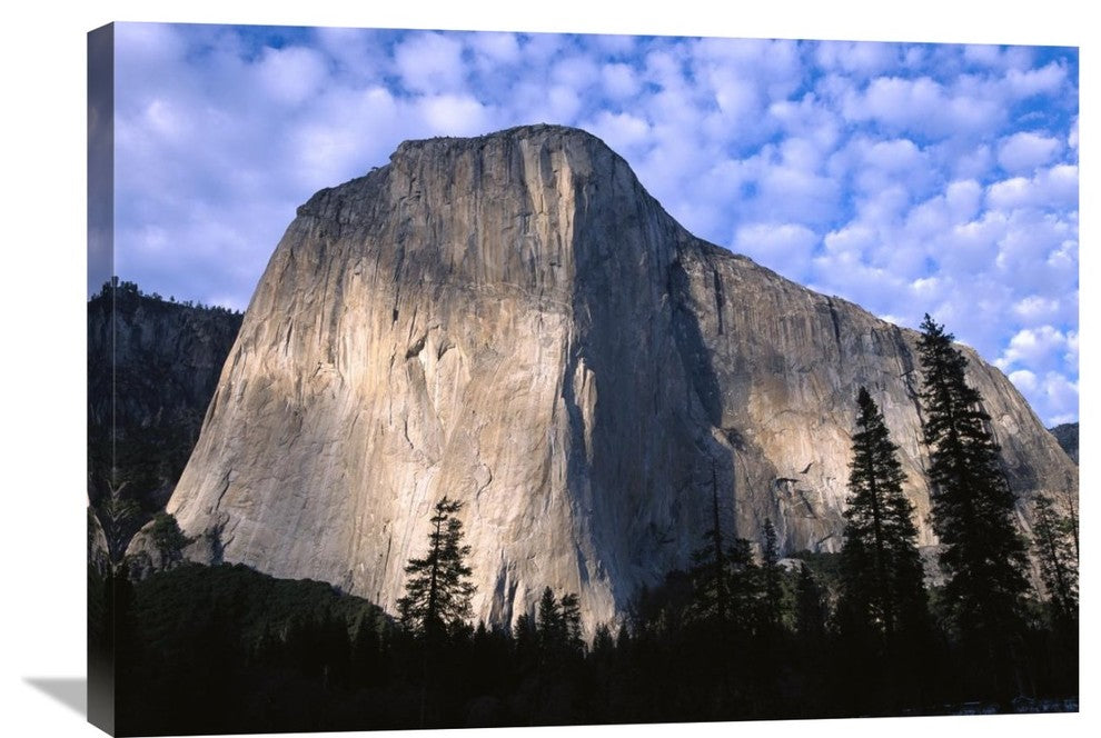 "El Capitan Rising Over The Forest, Yosemite National Park, California" Artwork