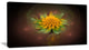 Fractal Yellow Flower on Black, Floral Canvas Art Print, 40x20