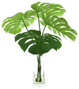 Organic Modern Philo Arranged in Clear Glass Vase