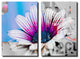 Painted Petals XCV Wrapped Canvas, 2-Piece Set