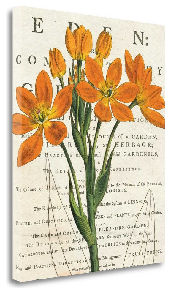 "Euphorbia Botany" By Sue Schlabach, Giclee Print on Gallery Wrap Canvas