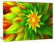 Amazing Dance of Green Petals, Floral Canvas Art Print, 20"x12"