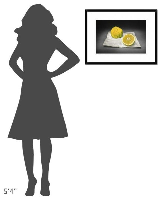 "Citrus" Framed Digital Print by Christophe Verot, 26"x20"