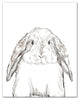 Baby Bunny Sketch Canvas Wall Art, 11x14