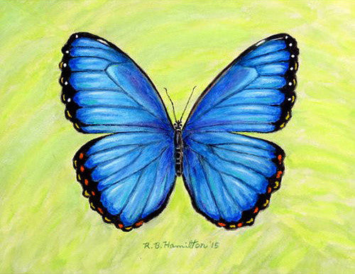 Betsy Drake Blue Morpho Butterfly 30 X 50 Inch Floral Comfort Floor Mat
