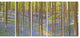 Blooming Bluebell Forest Panorama, Landscape Canvas Art Print, 60"x28", 5 Panels