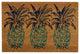 Waverly Greetings "Pineapple" Doormat, Aqua, 1'6"x2'4"