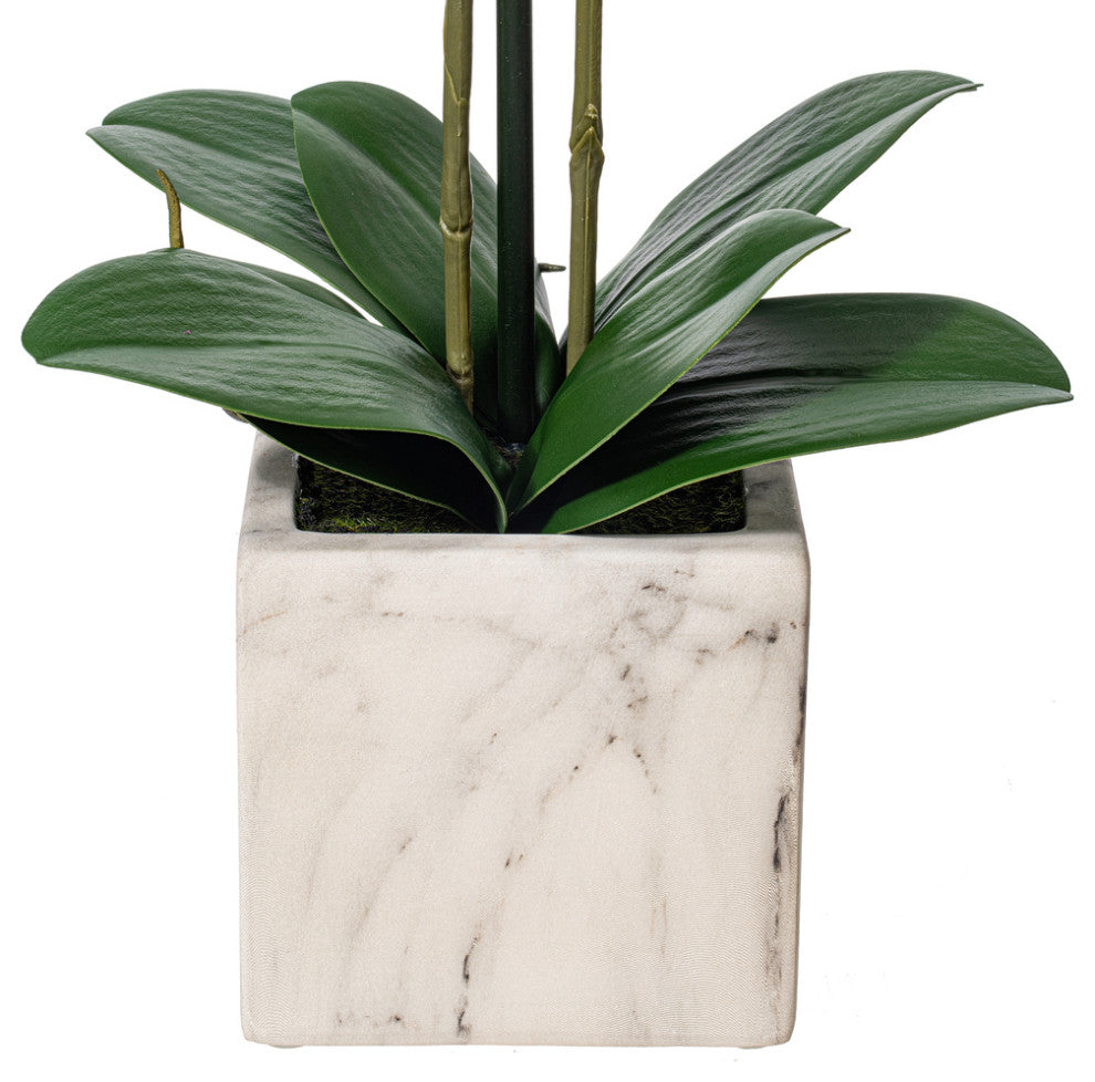 Vickerman 22" Phalaenopsis In Pot, Dark Purple