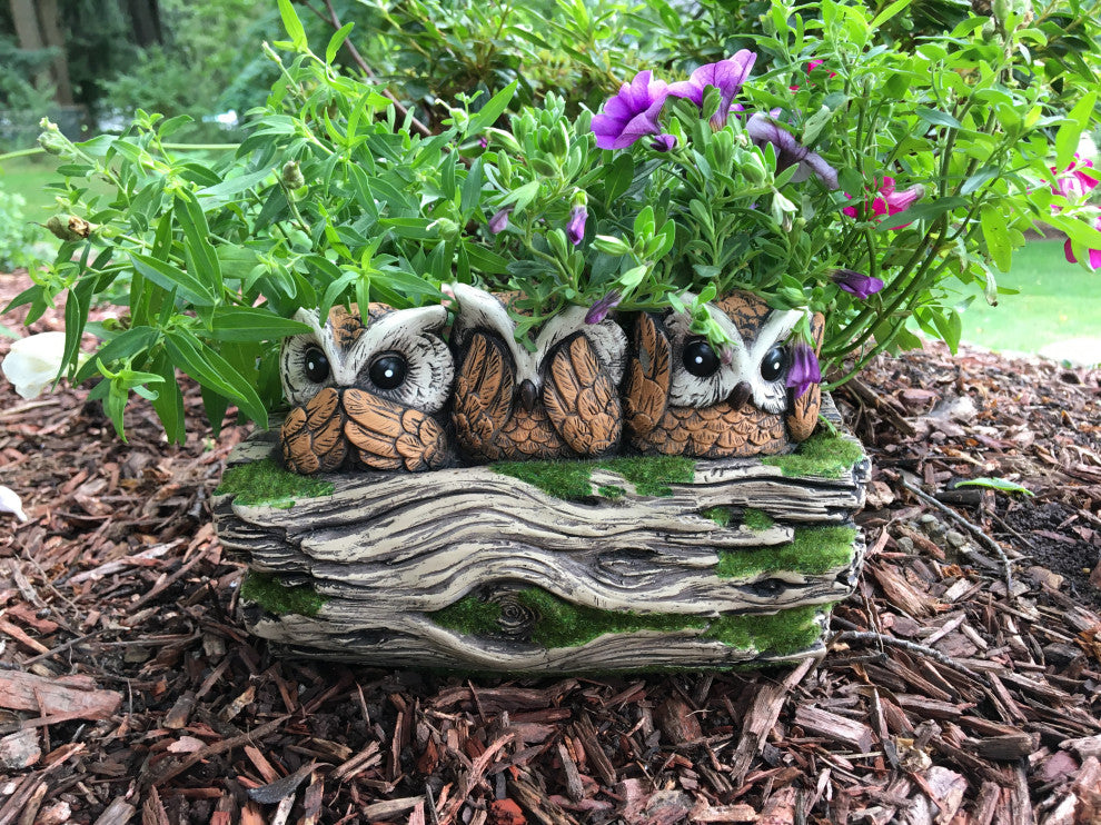 10" 3 Owl Flower Pot