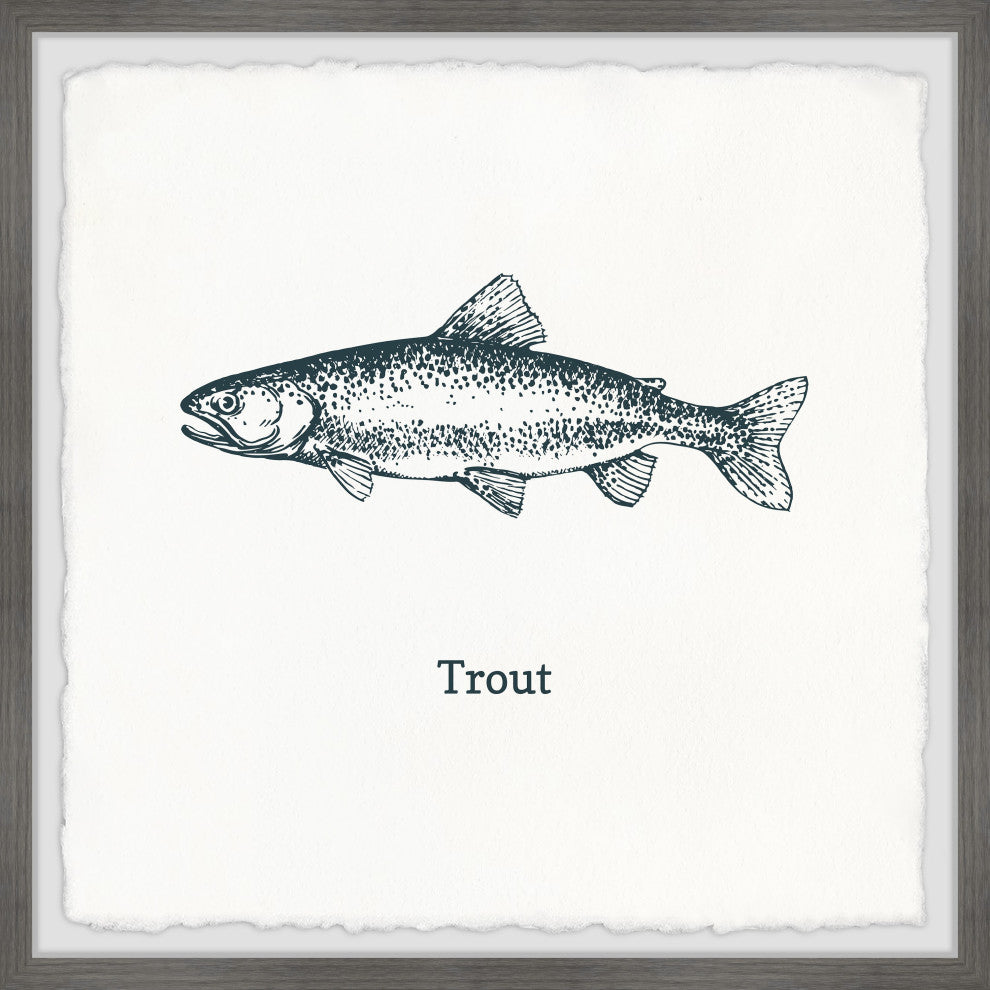 "Trout in White" Framed Painting Print, 24x24