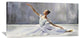 Ballerina, 48"x24"